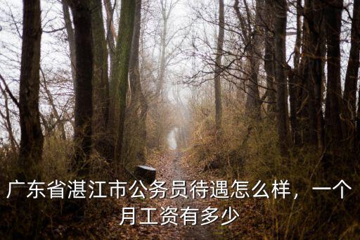 廣東省湛江市公務員待遇怎么樣，一個月工資有多少