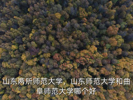 山東兩所師范大學(xué)，山東師范大學(xué)和曲阜師范大學(xué)哪個(gè)好