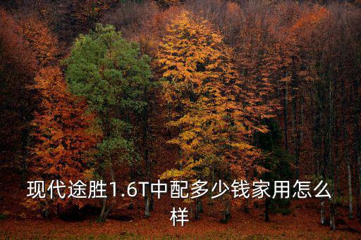 現代途勝1.6T中配多少錢家用怎么樣