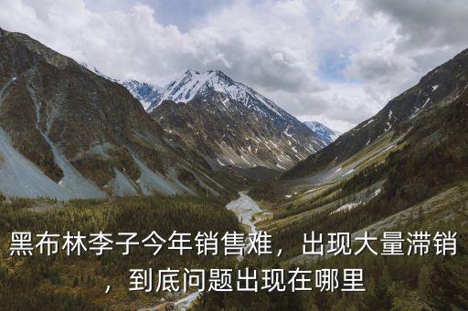 廣州黑布林大李子哪里好,黑布林李子今年銷售難