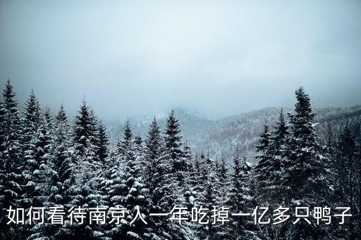 如何看待南京人一年吃掉一億多只鴨子