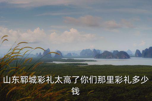 山東濟寧嘉祥張樓彩禮多少錢,山東鄆城彩禮太高了