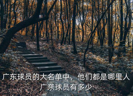 付海峰是廣東哪里人,他們都是哪里人