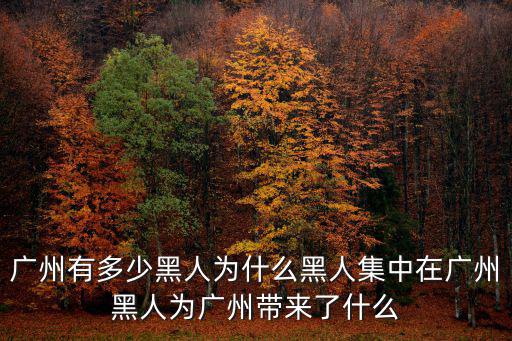 廣州有多少黑人為什么黑人集中在廣州黑人為廣州帶來了什么