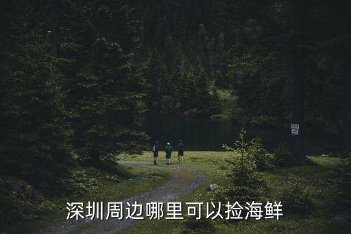 深圳周邊哪里可以撿海鮮