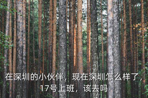 深圳樂普醫療上班怎么樣,現在深圳怎么樣了