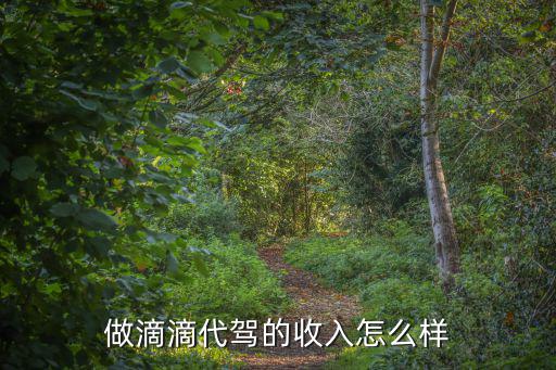 東莞滴滴代駕收入怎么樣,兼職滴滴代駕怎么樣