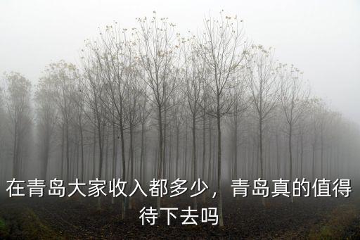 青島加上外地人有多少人口,外地人落戶青島