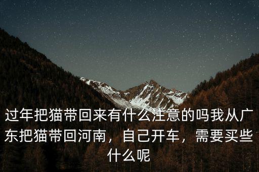 廣州怎么把貓帶回去,怎么把流浪貓帶回家