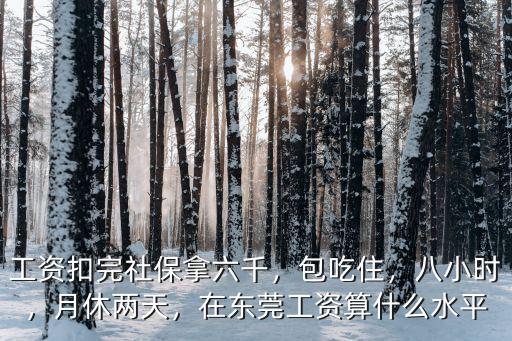 工資扣完社保拿六千，包吃住，八小時，月休兩天，在東莞工資算什么水平