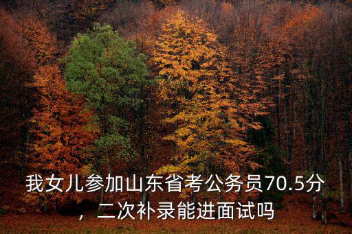 山東考公務員一般多少分能進面試,二次補錄能進面試嗎