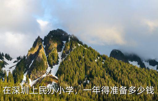 在深圳上民辦小學(xué)，一年得準(zhǔn)備多少錢