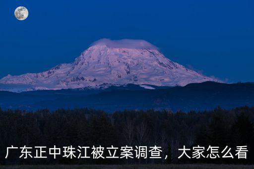 廣東正中珠江在哪里,廣東正中珠江會計所被調查