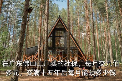在廣東交社保能領多少,在廣東佛山工廠買的社保