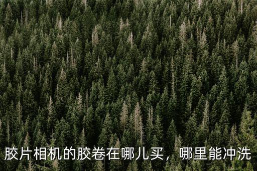 膠片相機的膠卷在哪兒買，哪里能沖洗