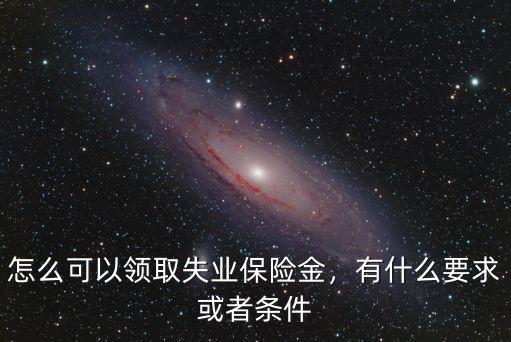韶關失業保險金怎么領取,失業保險怎么領