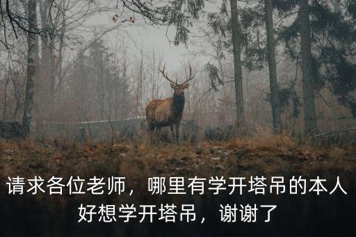 請求各位老師，哪里有學開塔吊的本人好想學開塔吊，謝謝了