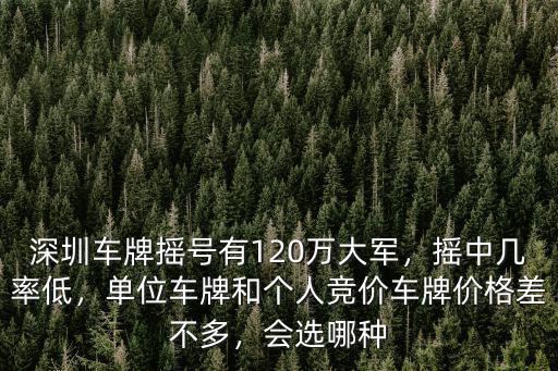 深圳車牌競價保證金怎么繳,深圳車牌是怎么競價的