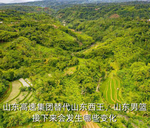 山東高速集團替代山東西王，山東男籃接下來會發生哪些變化