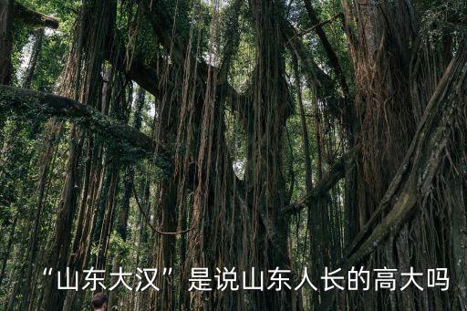 山東大漢身高多少米,國人都稱山東人是山東大漢