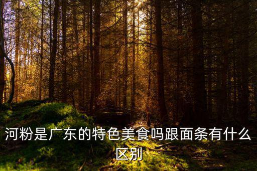 河粉是廣東的特色美食嗎跟面條有什么區(qū)別