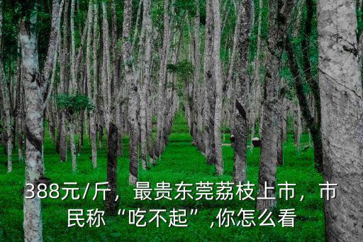 388元/斤，最貴東莞荔枝上市，市民稱“吃不起”,你怎么看