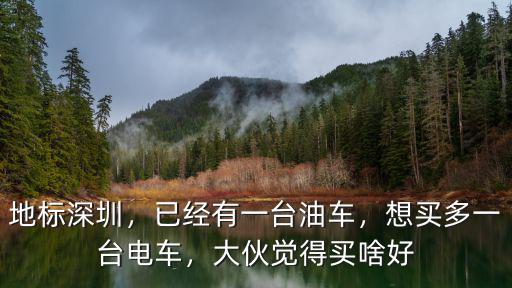 深圳怎么買兩輛油車,在深圳想買第一輛車