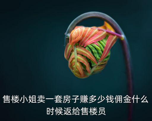 惠州有外國小姐多少錢一次,售樓小姐賣一套房子賺多少錢