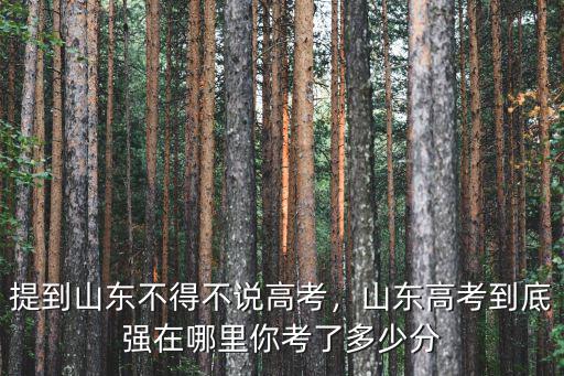 山東呂琛考了多少分,提到山東不得不說高考