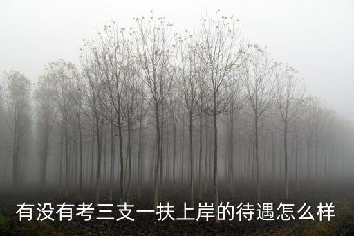有沒有考三支一扶上岸的待遇怎么樣