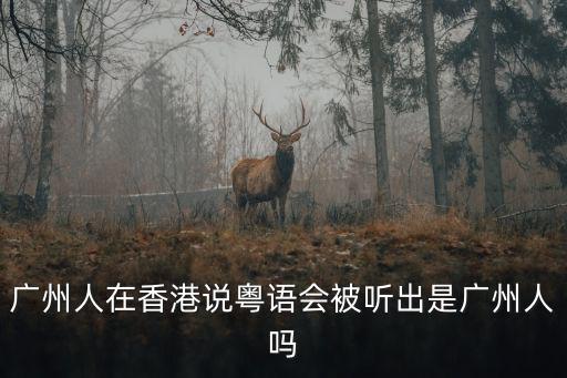 廣州市羅彬是哪里人,廣州人的祖籍大多來自哪里
