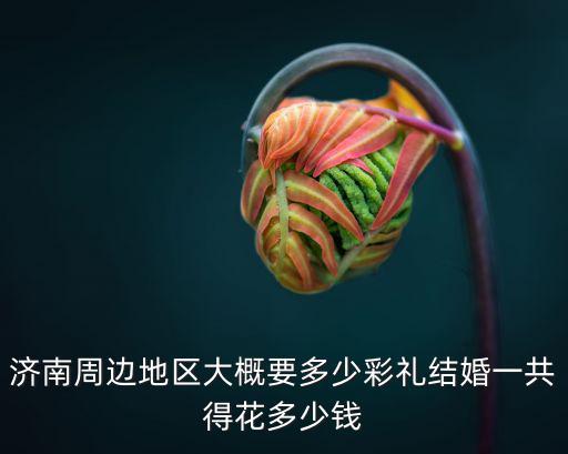 濟(jì)南平陰結(jié)婚隨禮多少錢,結(jié)婚一共得花多少錢