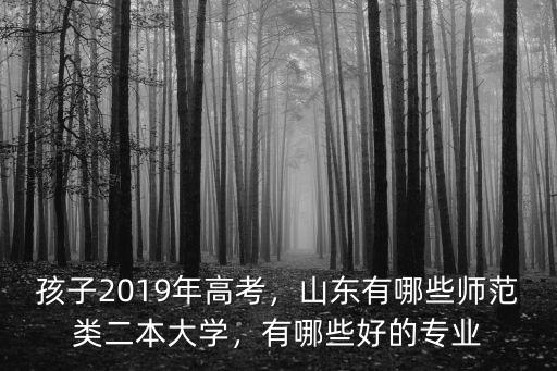 孩子2019年高考，山東有哪些師范類二本大學，有哪些好的專業