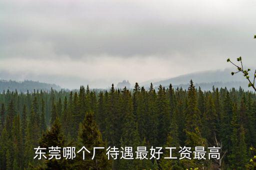 東莞哪個廠待遇最好工資最高
