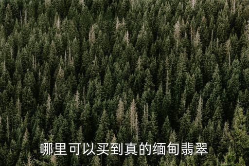 哪里可以買到真的緬甸翡翠