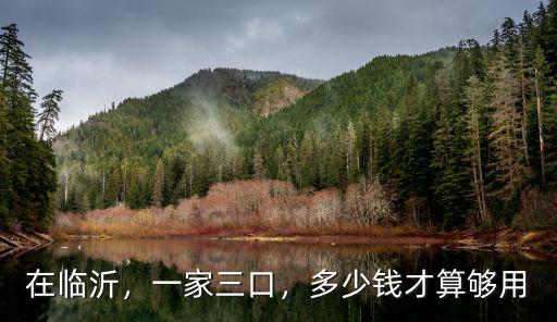 在臨沂，一家三口，多少錢才算夠用