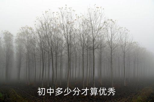 濟(jì)南初二成績(jī)多少分算優(yōu)秀,初中多少分才算優(yōu)秀