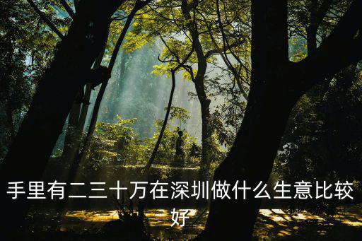 手里有二三十萬在深圳做什么生意比較好