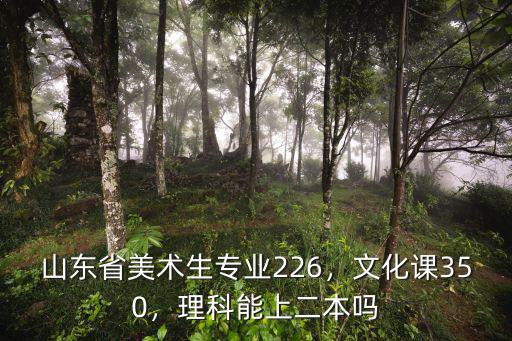 山東省美術生專業226，文化課350，理科能上二本嗎