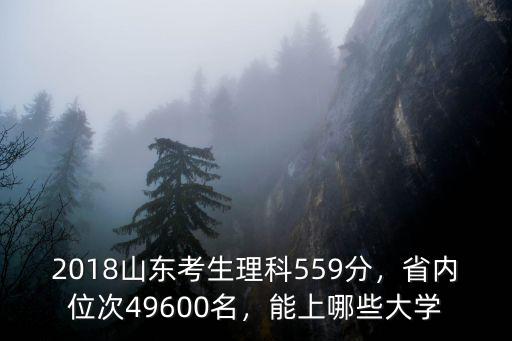山東理科今年573分是省內多少名,省內位次49600名