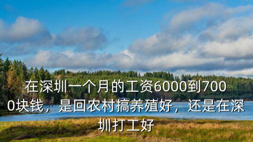 在深圳6000工資到手有多少錢(qián),還是在深圳打工好