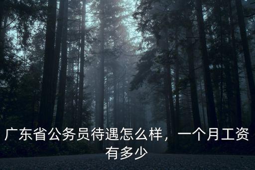 廣州處級(jí)干部一月多少工資,一個(gè)月工資有多少
