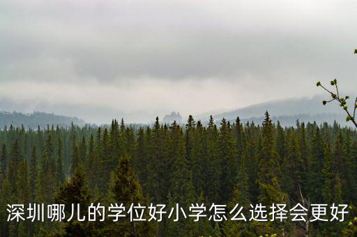 深圳小學怎么考好學校,深圳哪兒的學位好