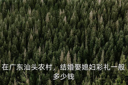 廣東潮汕結婚要多少錢,潮汕結婚要花多少錢啊