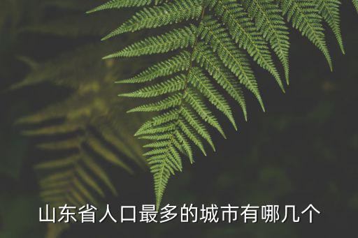 山東省人口最多的城市有哪幾個