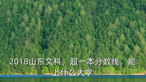 2018山東文科，超一本分?jǐn)?shù)線，能上什么大學(xué)