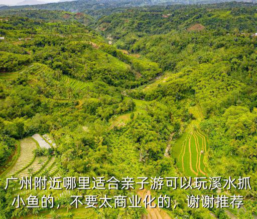 清遠哪里有適合游泳的小溪,廣東清遠有什么旅游的景點