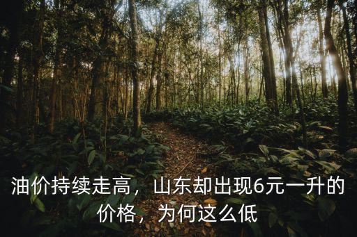 今日山東的油價(jià)是多少,山東卻出現(xiàn)6元一升的價(jià)格