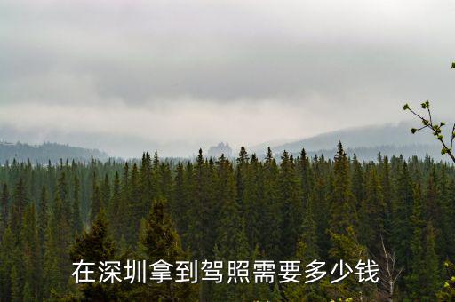 深圳深港駕校河源班收費(fèi)是多少,在深圳報(bào)河源班學(xué)車怎么樣