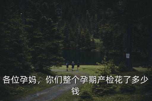 臨沂懷孕產(chǎn)檢一般要花多少費用是多少錢,你們整個孕期產(chǎn)檢花了多少錢